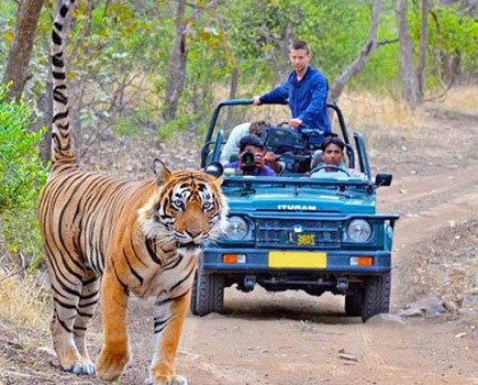 Corbett Group Tour