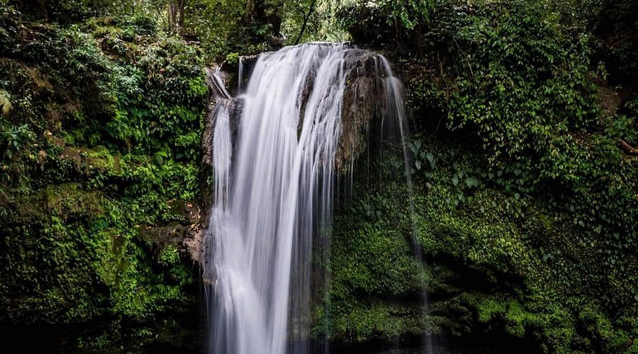 Jim Corbett National Park