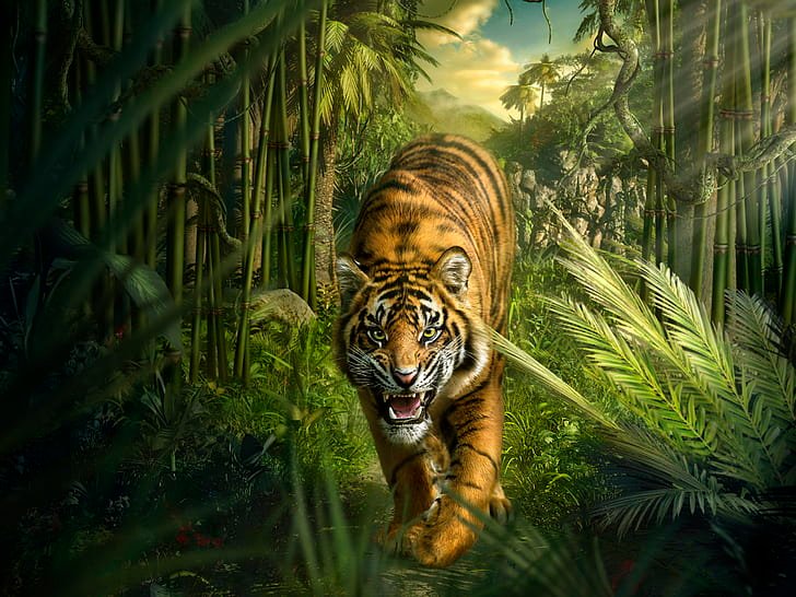Bengal Tiger Jim Corbett